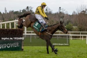 Paul Townend onboard Haut En Couleurs