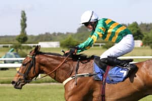 Jockey in JP McManus colors