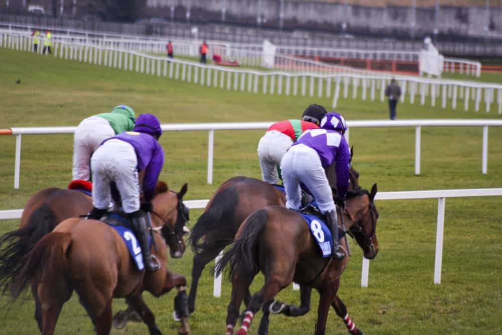 Leopardstown Racecourse