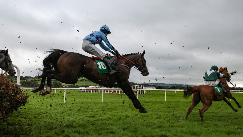 Kauto Star Novices Chase