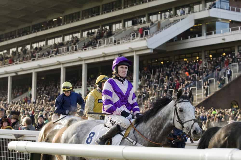 Cheltenham November Meeting