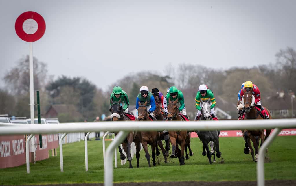 Ladbrokes Christmas Festival image