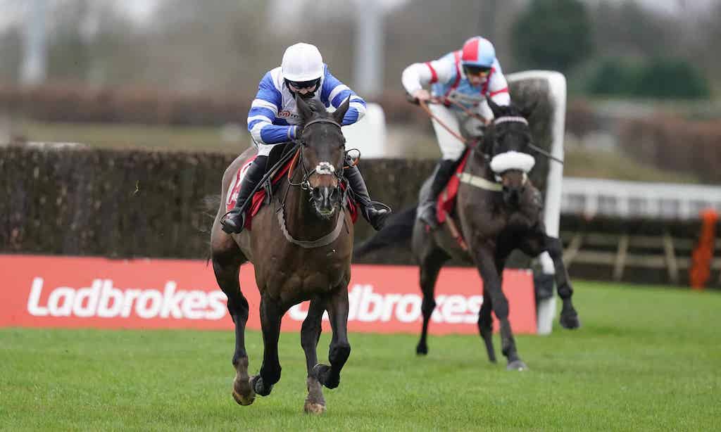 Ladbrokes Christmas Festival pic