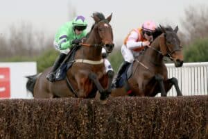 Niceandeasy ridden by Conor O'Farrell winning the Sky Bet Novices Handicap Steeple Chase