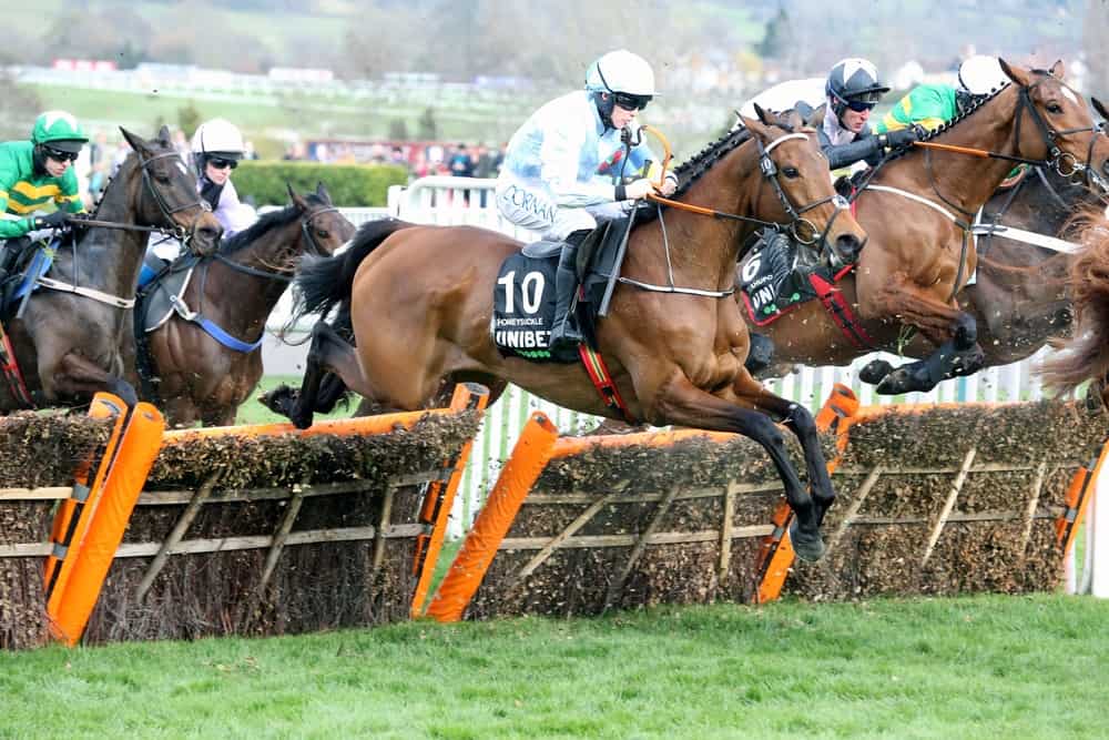 Cheltenham Rasecourse